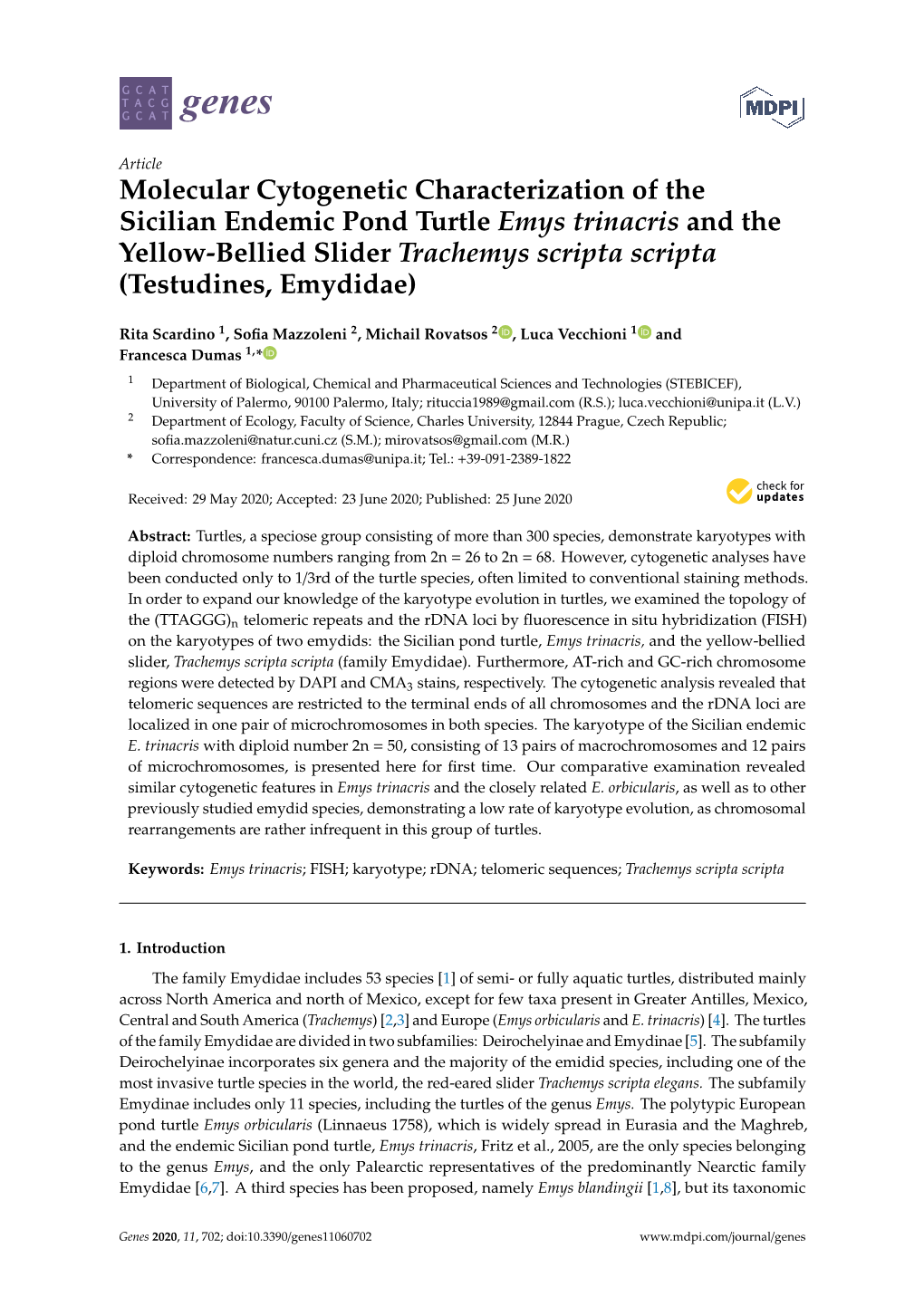 Molecular Cytogenetic Characterization of the Sicilian Endemic Pond Turtle Emys Trinacris and the Yellow-Bellied Slider Trachemy