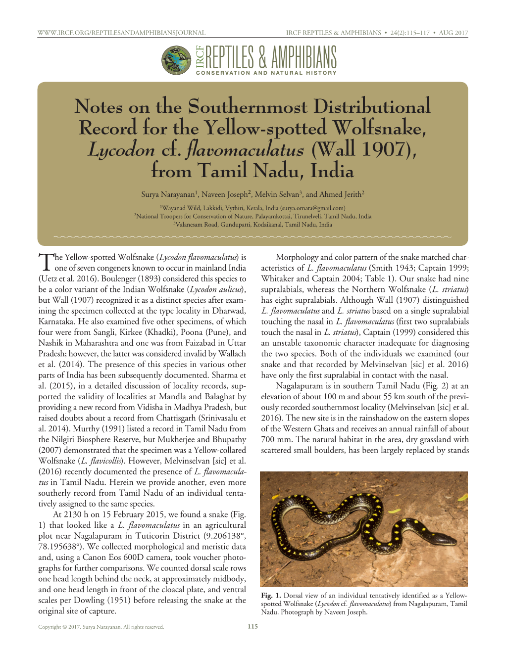 Lycodon Flavomaculatus) Is Morphology and Color Pattern of the Snake Matched Char