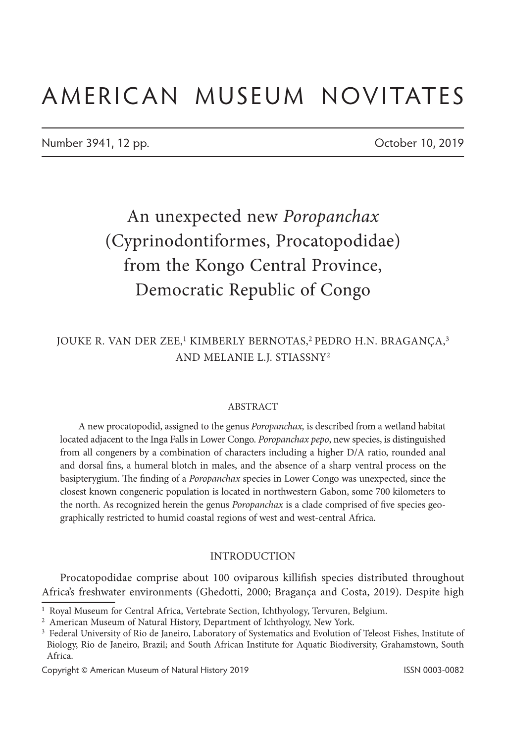 An Unexpected New Poropanchax (Cyprinodontiformes, Procatopodidae) from the Kongo Central Province, Democratic Republic of Congo