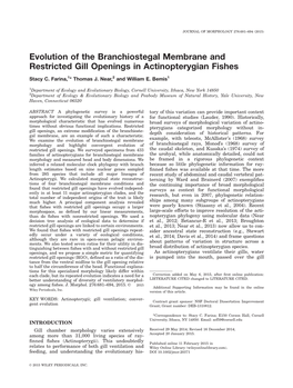 Evolution of the Branchiostegal Membrane and Restricted Gill Openings in Actinopterygian Fishes