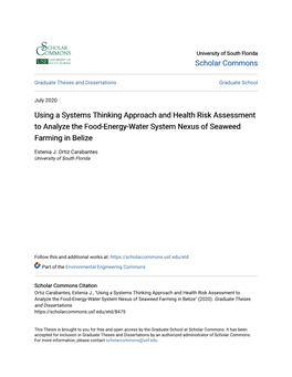 Using a Systems Thinking Approach and Health Risk Assessment to Analyze the Food-Energy-Water System Nexus of Seaweed Farming in Belize