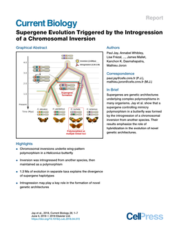 Supergene Evolution Triggered by the Introgression of a Chromosomal Inversion
