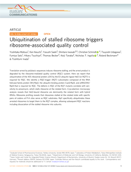 Ubiquitination of Stalled Ribosome Triggers Ribosome-Associated Quality Control