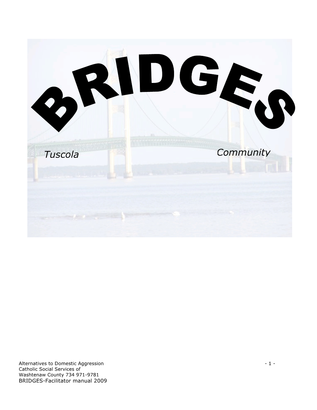 BRIDGES Facilitator Manual