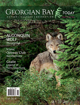 ALGONQUIN WOLF Threatened