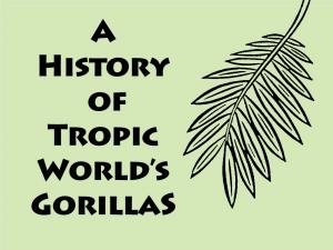 History of Tropic World's Gorillas