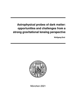 Astrophysical Probes of Dark Matter: Opportunities and Challenges from a Strong Gravitational Lensing Perspective