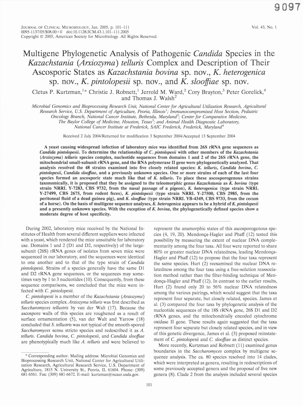 Multigene Phylogenetic Analysis of Pathogenic Candida Species in The