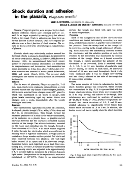 Shock Duration and Adhesion in the Planaria, Phagocata Graci/Is 1