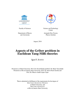 Thesis: Aspects of the Gribov Prolem in YM Theories