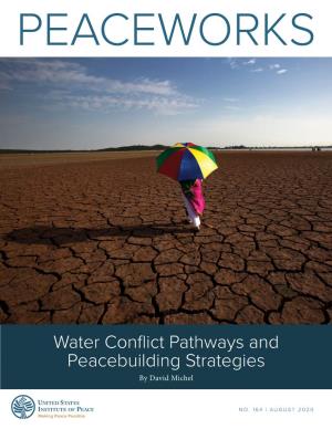 Water Conflict Pathways and Peacebuilding Strategies by David Michel