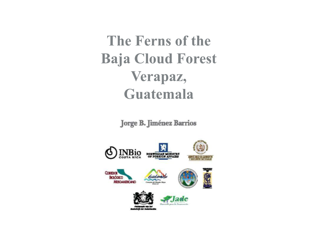 The Ferns of the Baja Cloud Forest Verapaz, Guatemala Presentation