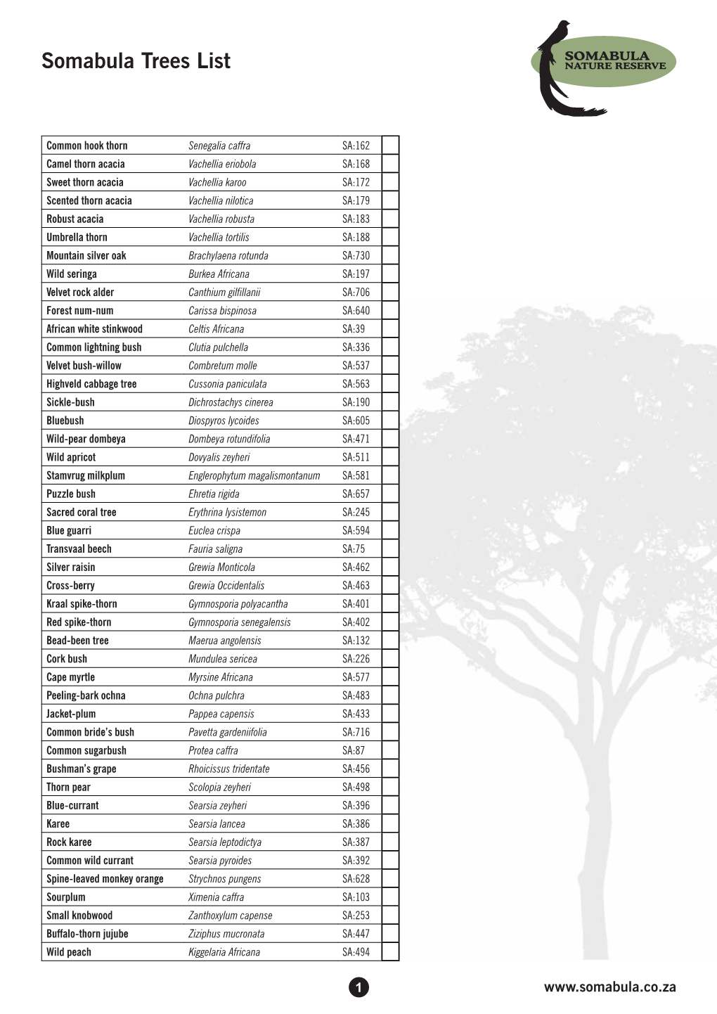 Somabula Trees List