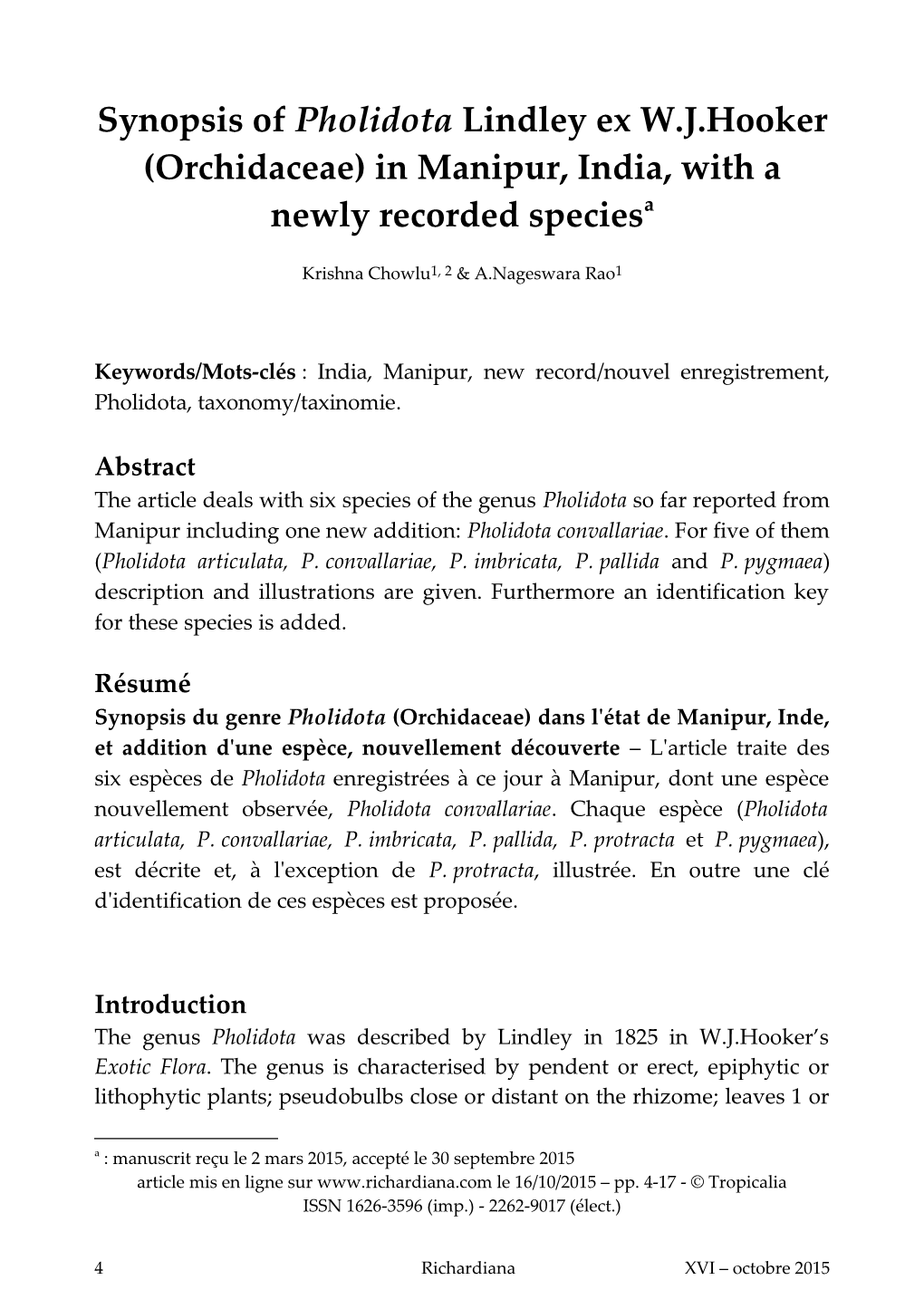 Synopsis of Pholidota Lindley Ex Wjhooker