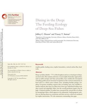 The Feeding Ecology of Deep-Sea Fishes