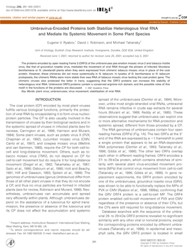 Umbravirus-Encoded Proteins Both Stabilize Heterologous Viral RNA and Mediate Its Systemic Movement in Some Plant Species