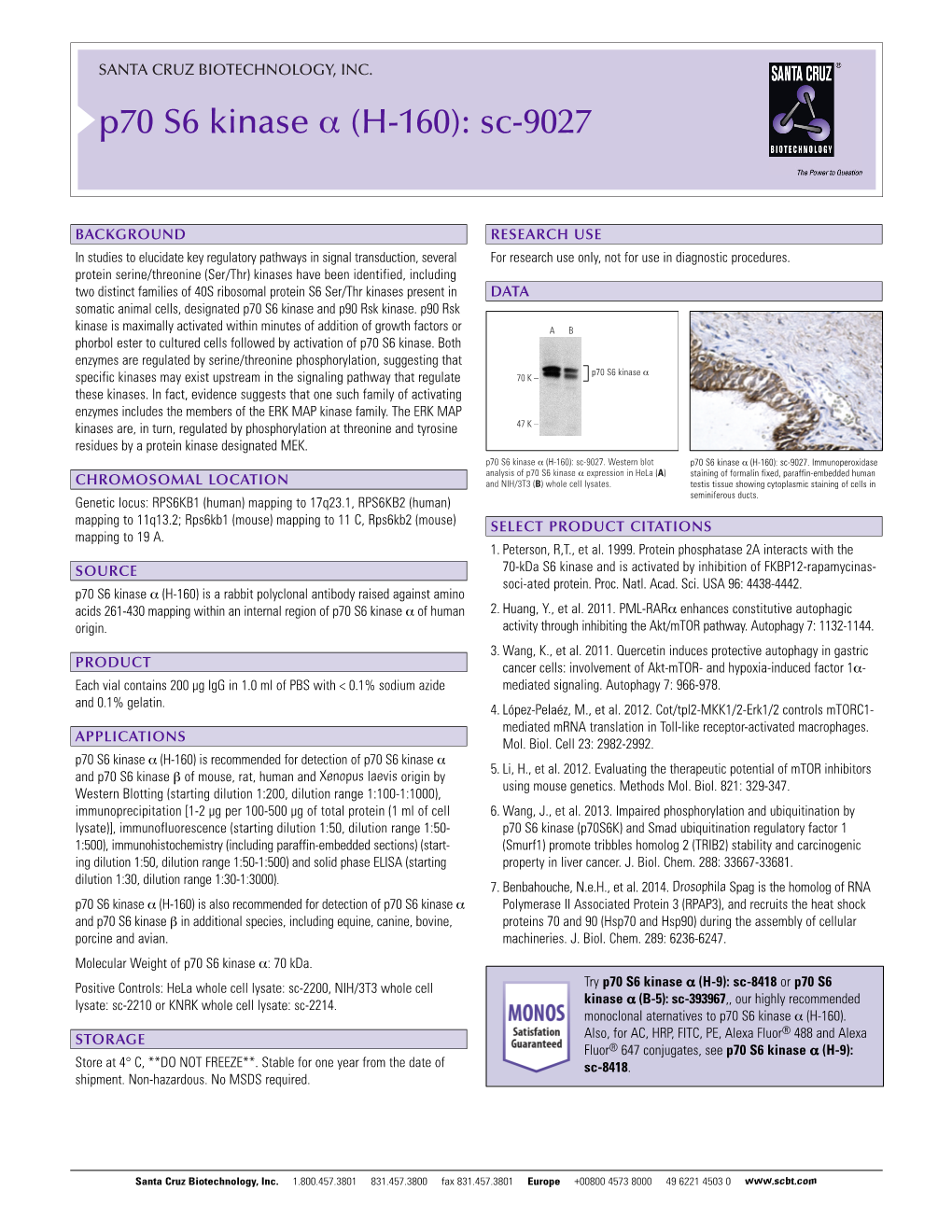 Datasheet Blank Template