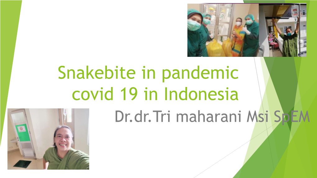 Snakebite in Pandemic Covid 19 in Indonesia Dr.Dr.Tri Maharani Msi Spem BIODIVERSITY of INDONESIAN SNAKE