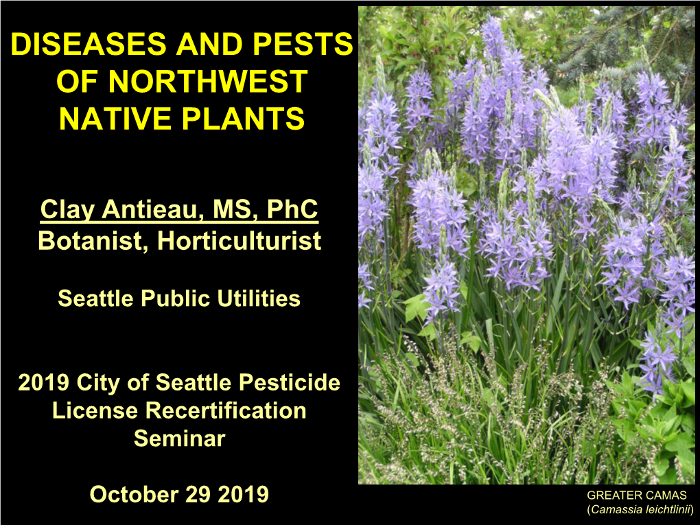 Diseases and Pests of Northwest Native Plants