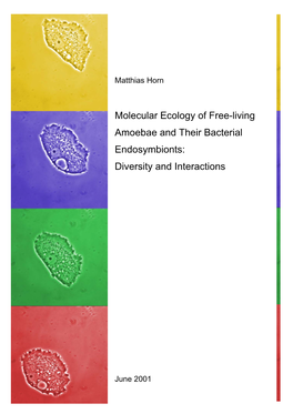 Molecular Ecology of Free-Living Amoebae and Their Bacterial Endosymbionts: Diversity and Interactions