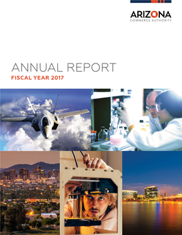 Annual Report Fiscal Year 2017