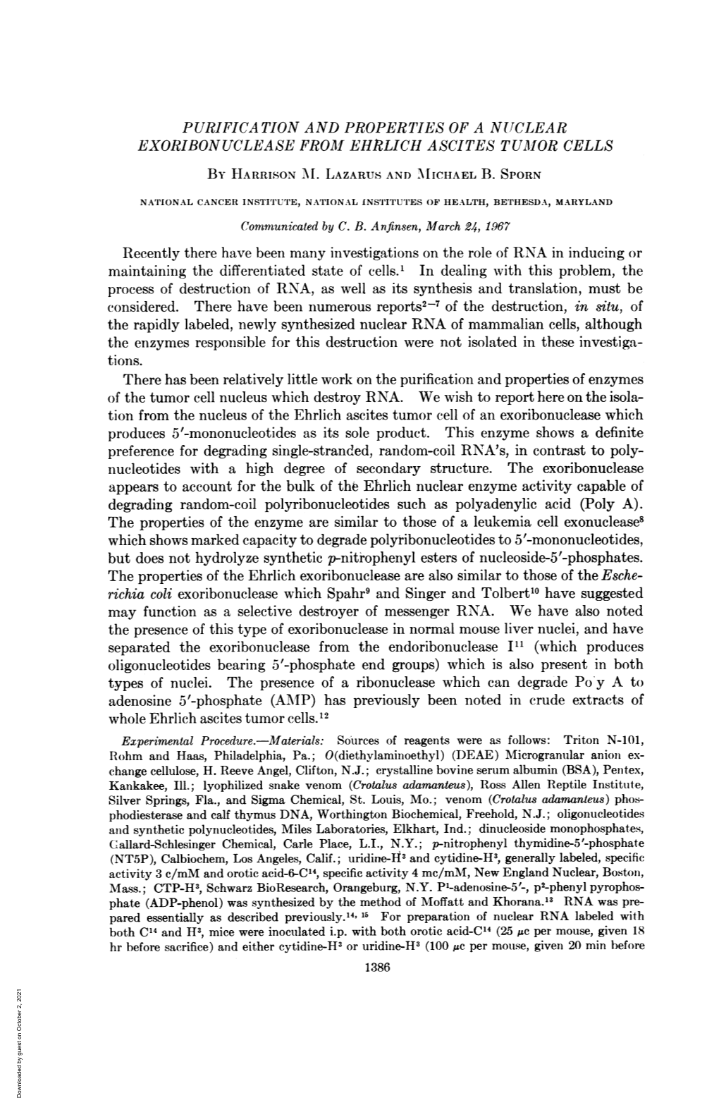 (Poly A). Which Shows Marked Capacity to Degrade