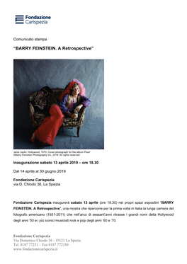 CS Mostra BARRY FEINSTEIN. a Retrospective