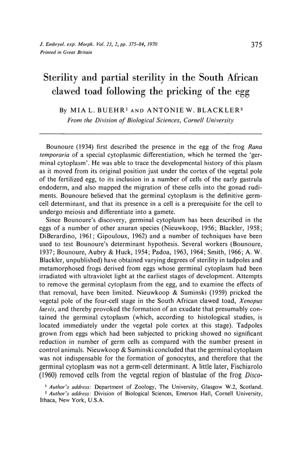 Sterility and Partial Sterility in the South African Clawed Toad Following the Pricking of the Egg