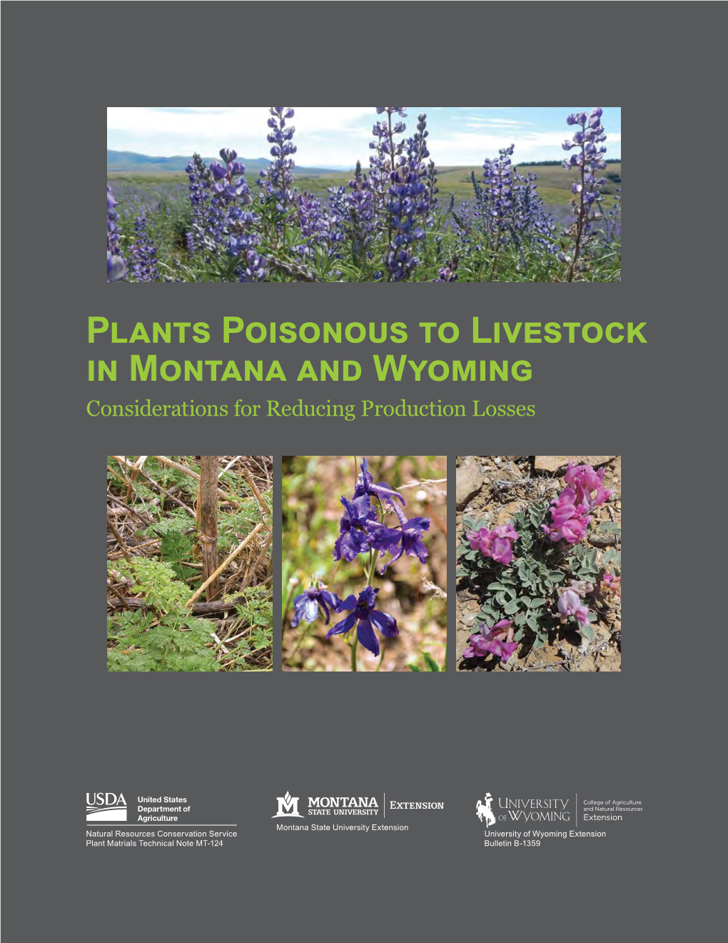Plants Poisonous to Livestock in Montana and Wyoming Considerations for Reducing Production Losses