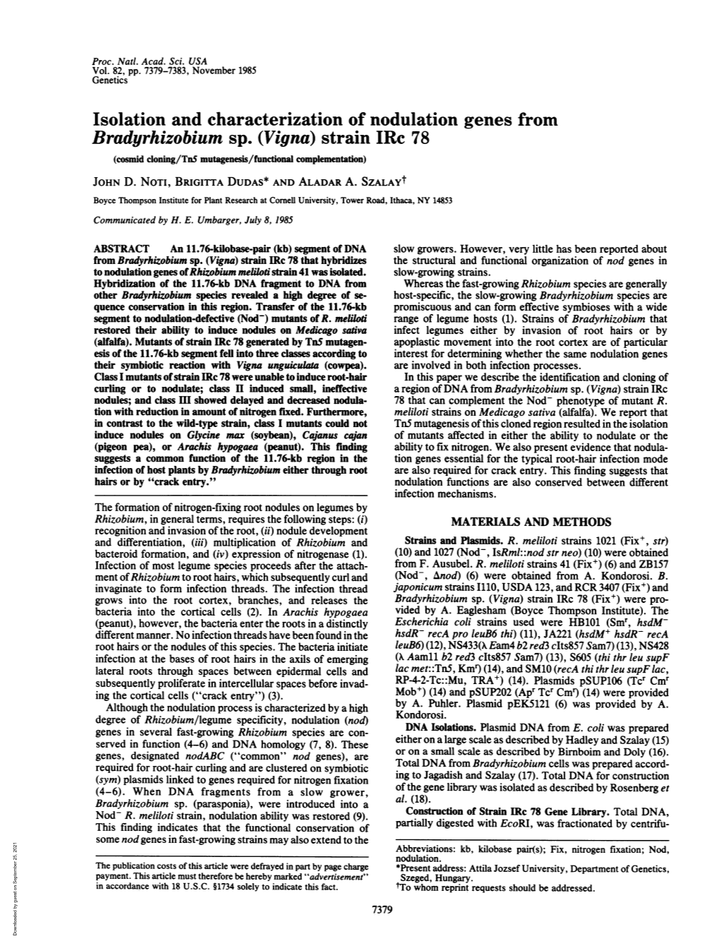 Bradyrhizobium Sp