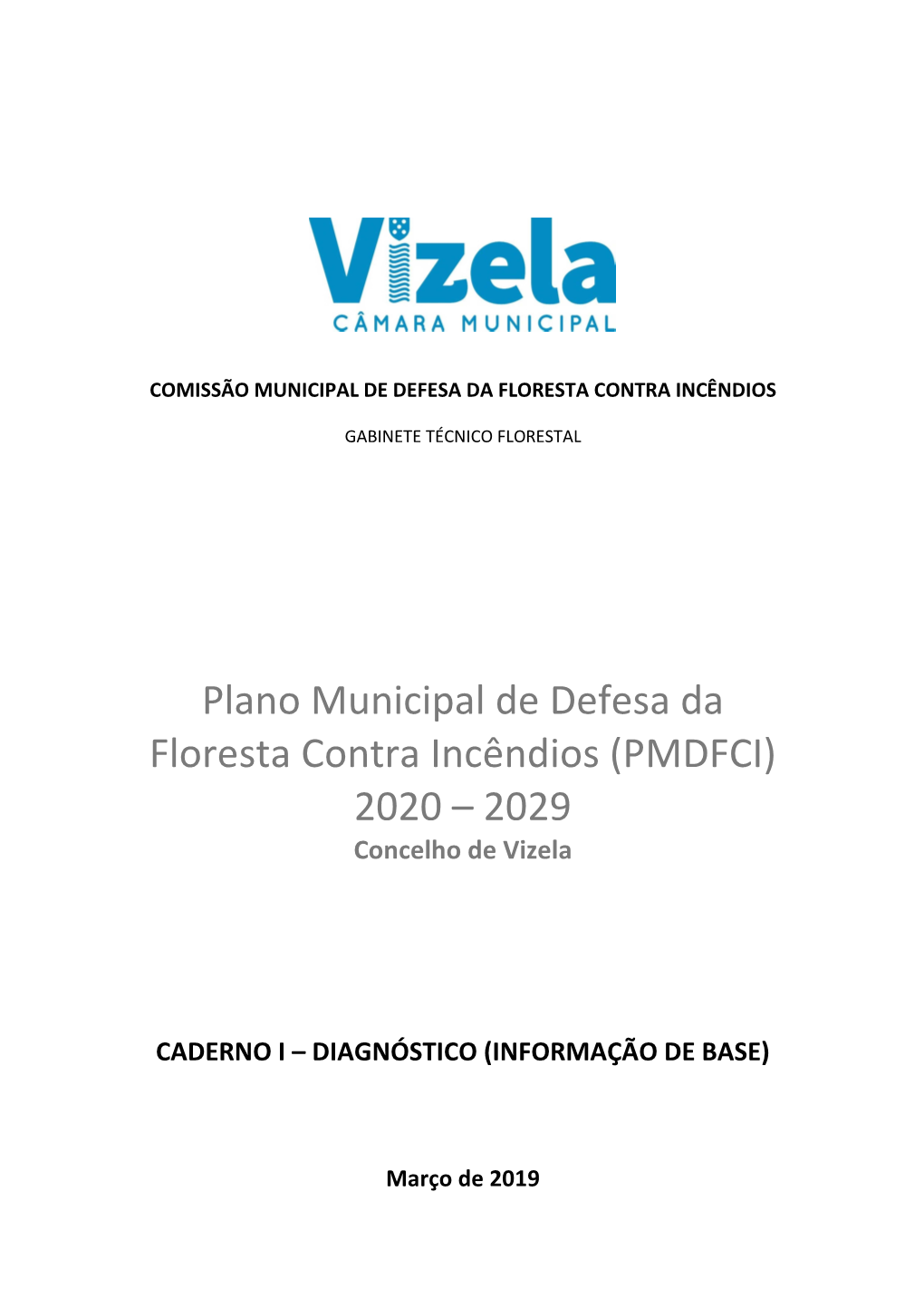 Plano Municipal De Defesa Da Floresta Contra Incêndios (PMDFCI) 2020 – 2029 Concelho De Vizela