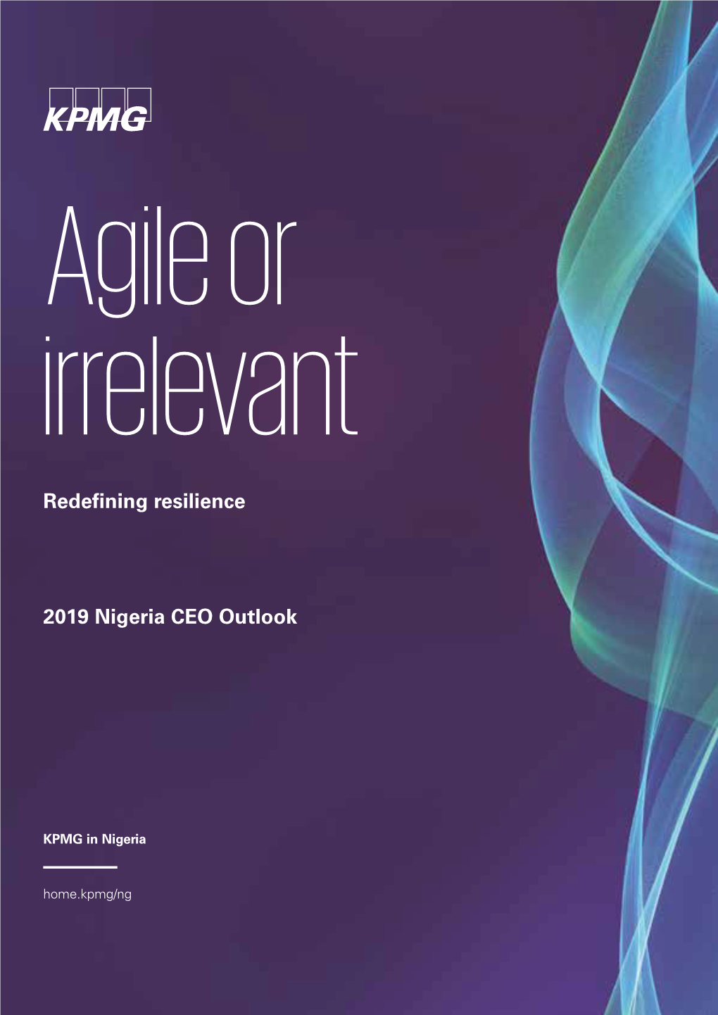 2019 Nigeria CEO Outlook Redefining Resilience