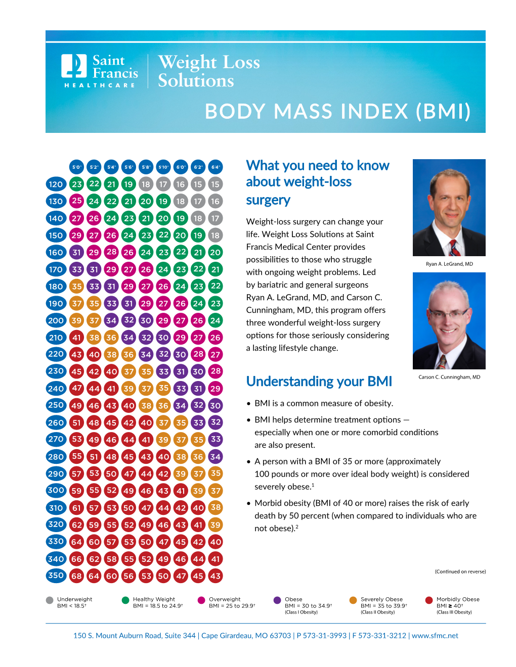 Body Mass Index (Bmi)