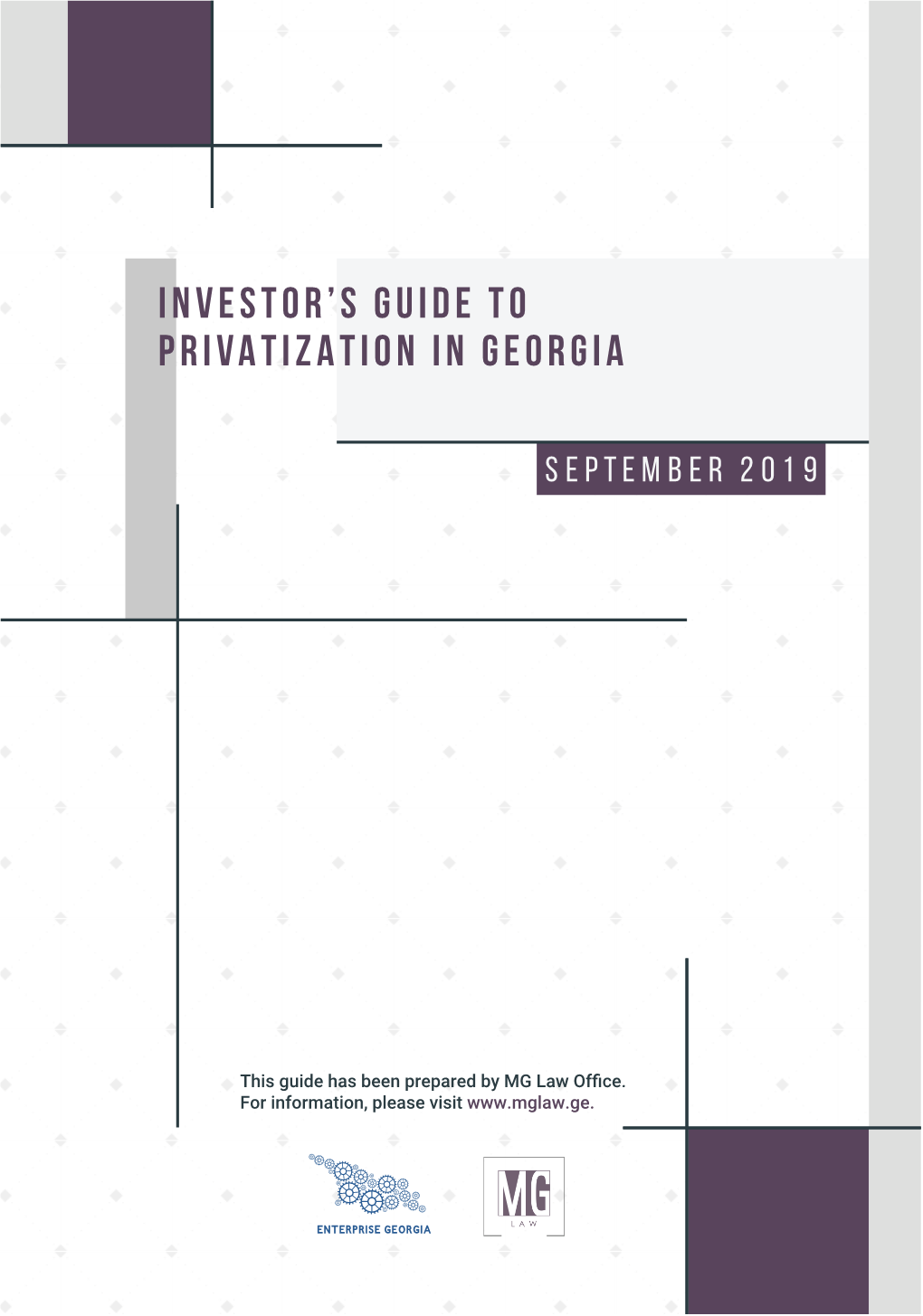 Guide on Privatization