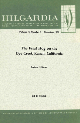 The Feral Hog on the Dye Creek Ranch, California