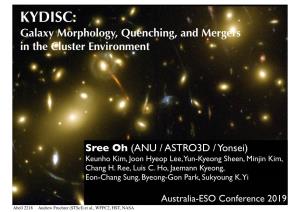 KYDISC: Galaxy Morphology, Quenching, and Mergers in the Cluster Environment
