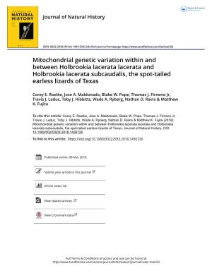 Mitochondrial Genetic Variation Within and Between Holbrookia Lacerata Lacerata and Holbrookia Lacerata Subcaudalis, the Spot-Tailed Earless Lizards of Texas