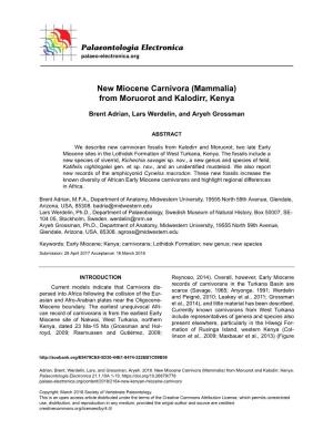 New Miocene Carnivora (Mammalia) from Moruorot and Kalodirr, Kenya