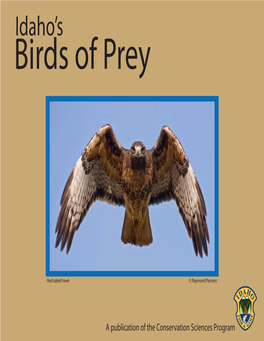 Idaho's Birds of Prey