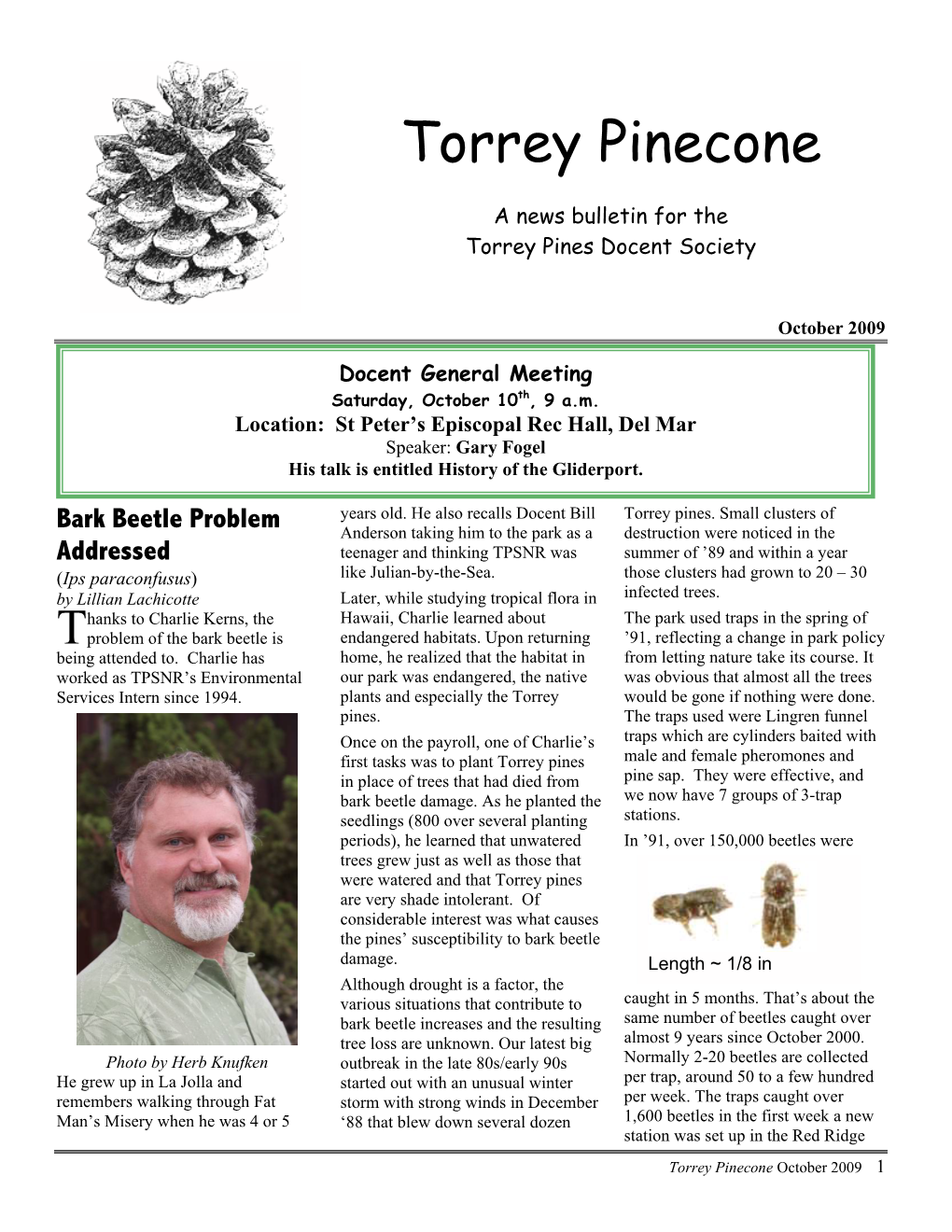 Torrey Pinecone