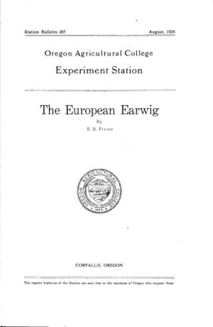The European Earwig by B