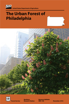 The Urban Forests of Philadelphia