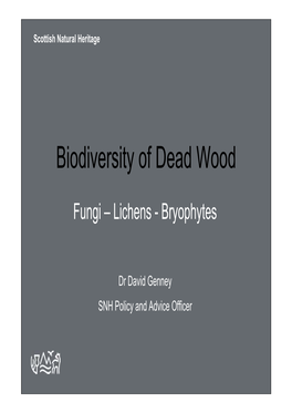 Biodiversity of Dead Wood