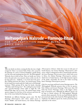 Weltvogelpark Walsrode – Flamingo-Ritual for the PROTECTION AGAINST EU R ASIAN E AGLE OWLS Dr