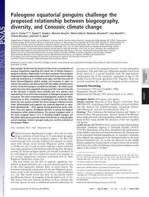 Paleogene Equatorial Penguins Challenge the Proposed Relationship Between Biogeography, Diversity, and Cenozoic Climate Change