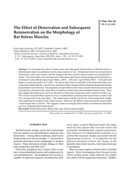 The Effect of Denervation and Subsequent Reinnervation on the Morphology of Rat Soleus Muscles