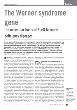 The Werner Syndrome Gene Reviews the Werner Syndrome Gene the Molecular Basis of Recq Helicase- Deficiency Diseases