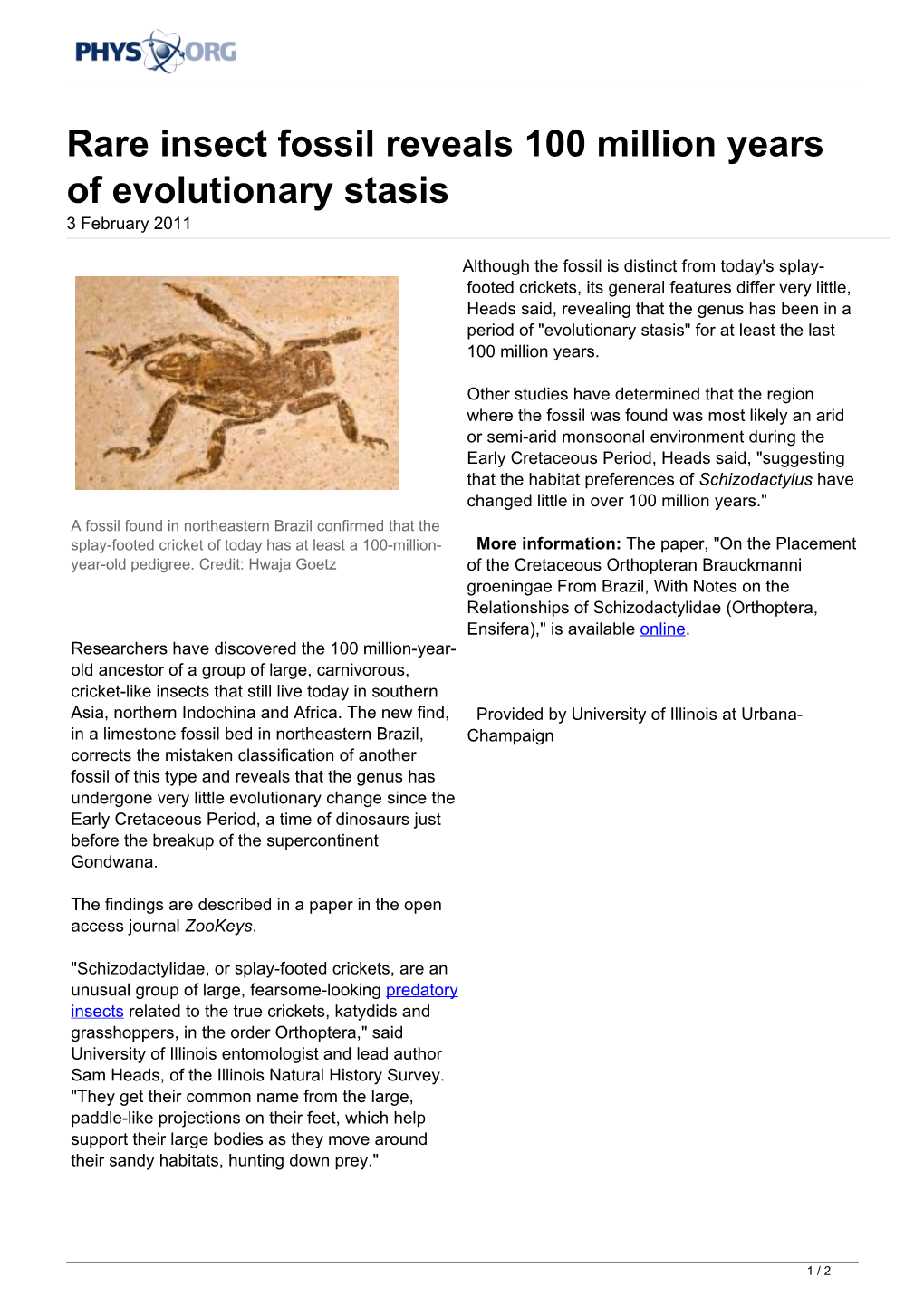 Rare Insect Fossil Reveals 100 Million Years of Evolutionary Stasis 3 February 2011