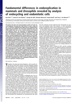 Fundamental Differences in Endoreplication in Mammals and Drosophila Revealed by Analysis of Endocycling and Endomitotic Cells