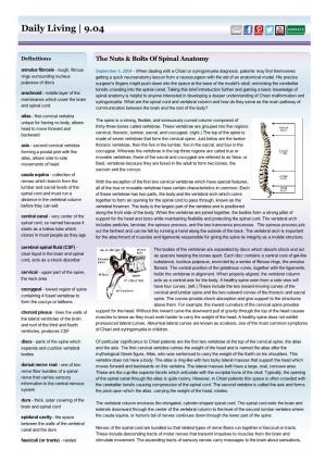 The Nuts & Bolts of Spinal Anatomy
